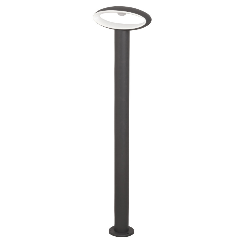 CurcuVIVA